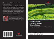 The Issue of Environmental Remediation kitap kapağı