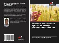 Bookcover of Nozioni di assicurazione agricola ed esempi nell’Africa subsahariana