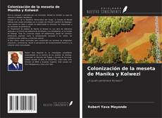 Buchcover von Colonización de la meseta de Manika y Kolwezi