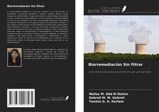 Buchcover von Biorremediación Sin filtrar