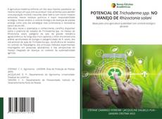 Обложка POTENCIAL DE Trichoderma spp. NO MANEJO DE Rhizoctonia solani