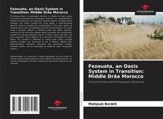 Bookcover of Fezouata, an Oasis System in Transition: Middle Drâa Morocco
