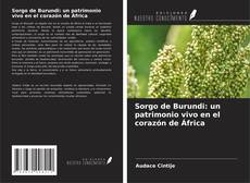 Copertina di Sorgo de Burundi: un patrimonio vivo en el corazón de África