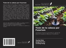 Couverture de Tizón de la cabeza por Fusarium