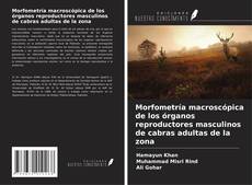 Copertina di Morfometría macroscópica de los órganos reproductores masculinos de cabras adultas de la zona