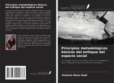 Copertina di Principios metodológicos básicos del enfoque del espacio social