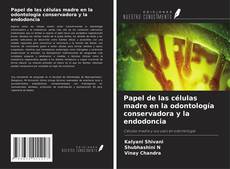 Copertina di Papel de las células madre en la odontología conservadora y la endodoncia