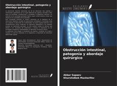 Copertina di Obstrucción intestinal, patogenia y abordaje quirúrgico