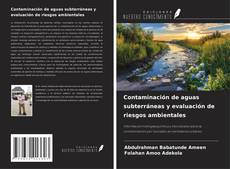 Copertina di Contaminación de aguas subterráneas y evaluación de riesgos ambientales