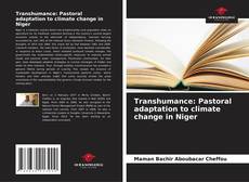 Bookcover of Transhumance: Pastoral adaptation to climate change in Niger