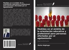 Buchcover von Medidas en el ámbito de la orientación educativa y profesional para personas afectadas por el agotamiento