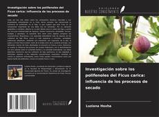 Copertina di Investigación sobre los polifenoles del Ficus carica: influencia de los procesos de secado