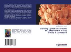 Borítókép a  Growing Oyster Mushrooms on Cardboard in Plastic Bottle in Cameroon - hoz