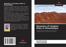 Bookcover of Dynamics of Complex Risks in Mozambique