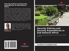 Security Policies and Security Expenditures in Sub-Saharan Africa的封面