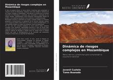 Couverture de Dinámica de riesgos complejos en Mozambique