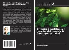 Buchcover von Diversidad morfológica y genética del complejo B. distachyon en Túnez