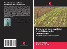 Os fatores que explicam a resistência dos camponeses kitap kapağı