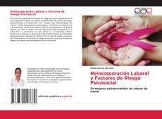Couverture de Reincorporación Laboral y Factores de Riesgo Psicosocial