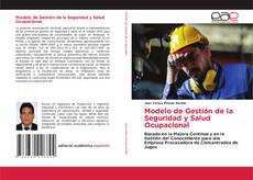 Couverture de Modelo de Gestión de la Seguridad y Salud Ocupacional