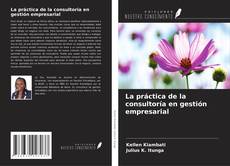 La práctica de la consultoría en gestión empresarial kitap kapağı