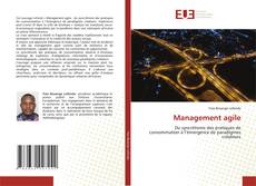 Buchcover von Management agile