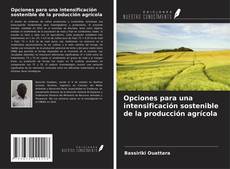 Copertina di Opciones para una intensificación sostenible de la producción agrícola
