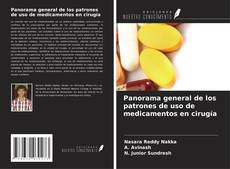 Couverture de Panorama general de los patrones de uso de medicamentos en cirugía