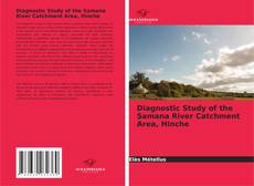 Borítókép a  Diagnostic Study of the Samana River Catchment Area, Hinche - hoz