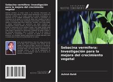 Copertina di Sebacina vermifera: Investigación para la mejora del crecimiento vegetal