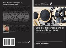 Обложка Guía del biocarbón para el tratamiento del agua