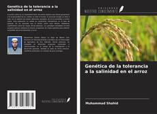 Copertina di Genética de la tolerancia a la salinidad en el arroz