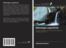 Copertina di Hidrología superficial