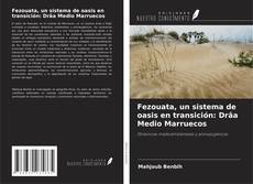Fezouata, un sistema de oasis en transición: Drâa Medio Marruecos kitap kapağı