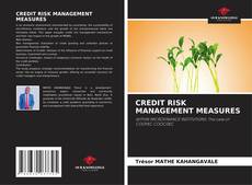 Bookcover of CREDIT RISK MANAGEMENT MEASURES