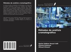 Copertina di Métodos de análisis cromatográfico