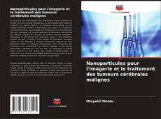 Bookcover of Nanoparticules pour l'imagerie et le traitement des tumeurs cérébrales malignes