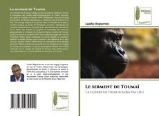 Обложка Le serment de Toumaï