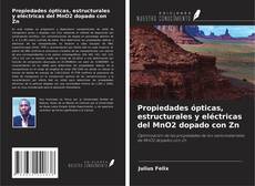 Copertina di Propiedades ópticas, estructurales y eléctricas del MnO2 dopado con Zn