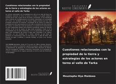 Copertina di Cuestiones relacionadas con la propiedad de la tierra y estrategias de los actores en torno al valle de Tarka
