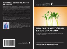 Copertina di MEDIDAS DE GESTIÓN DEL RIESGO DE CRÉDITO