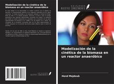 Bookcover of Modelización de la cinética de la biomasa en un reactor anaeróbico