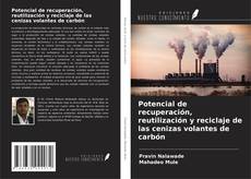 Potencial de recuperación, reutilización y reciclaje de las cenizas volantes de carbón kitap kapağı