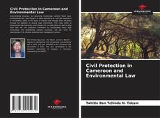 Bookcover of Civil Protection in Cameroon and Environmental Law