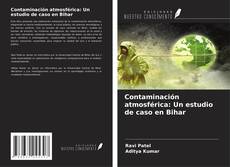 Copertina di Contaminación atmosférica: Un estudio de caso en Bihar