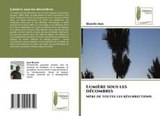 Bookcover of Lumière sous les décombres