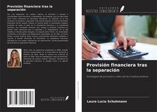 Couverture de Provisión financiera tras la separación