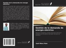 Copertina di Gestión de la demanda de energía eléctrica