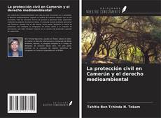 Copertina di La protección civil en Camerún y el derecho medioambiental