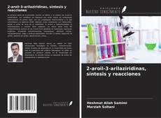 Copertina di 2-aroil-3-arilaziridinas, síntesis y reacciones